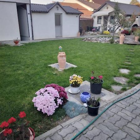 Studio Unique Apartment Timisoara Luaran gambar