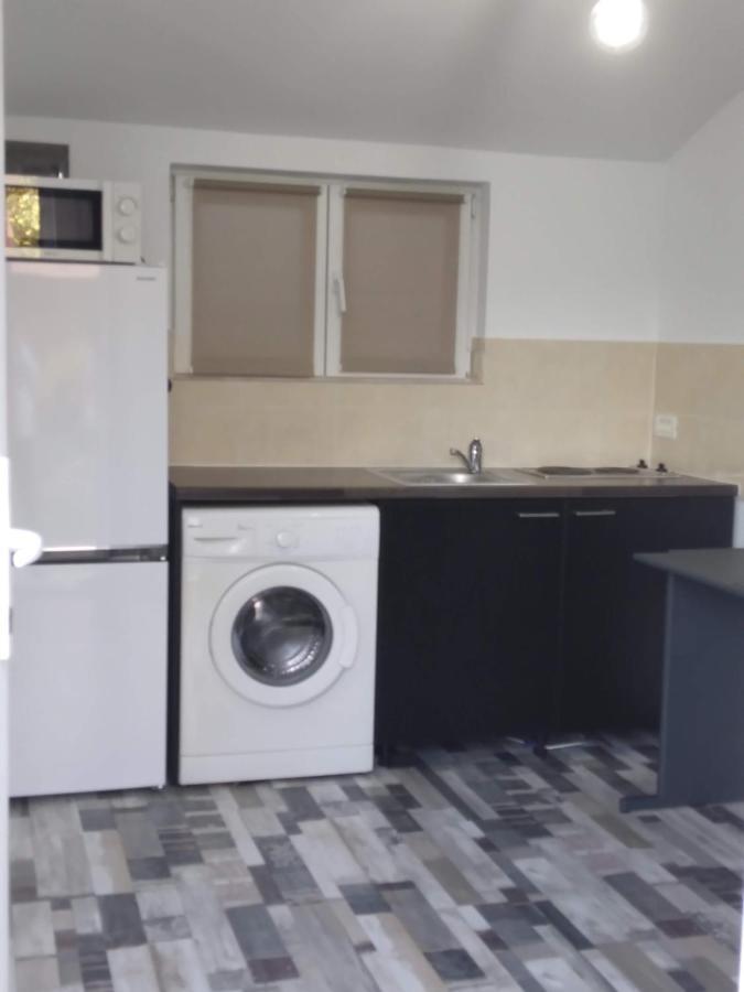 Studio Unique Apartment Timisoara Luaran gambar