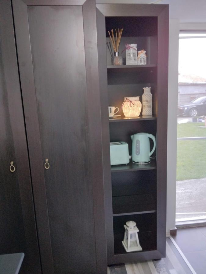 Studio Unique Apartment Timisoara Luaran gambar